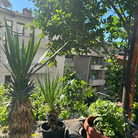 Didi Park House къща с две спални Apartament Sandanski