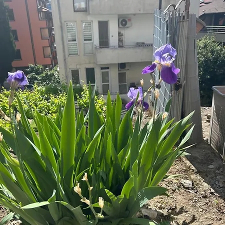 Didi Park House къща с две спални *