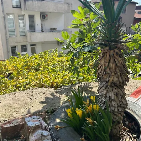 Didi Park House къща с две спални Apartamento Sandanski