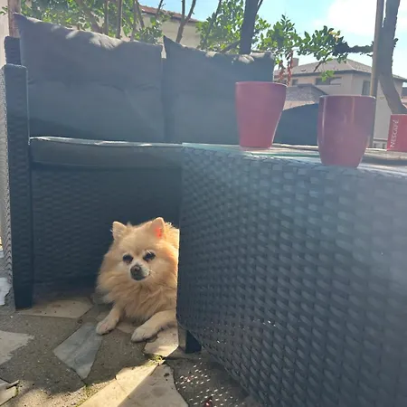 Didi Park House къща с две спални Sandanski