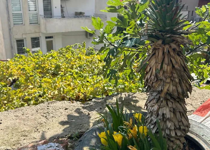 Didi Park House къща с две спални شقة ساندانسكي